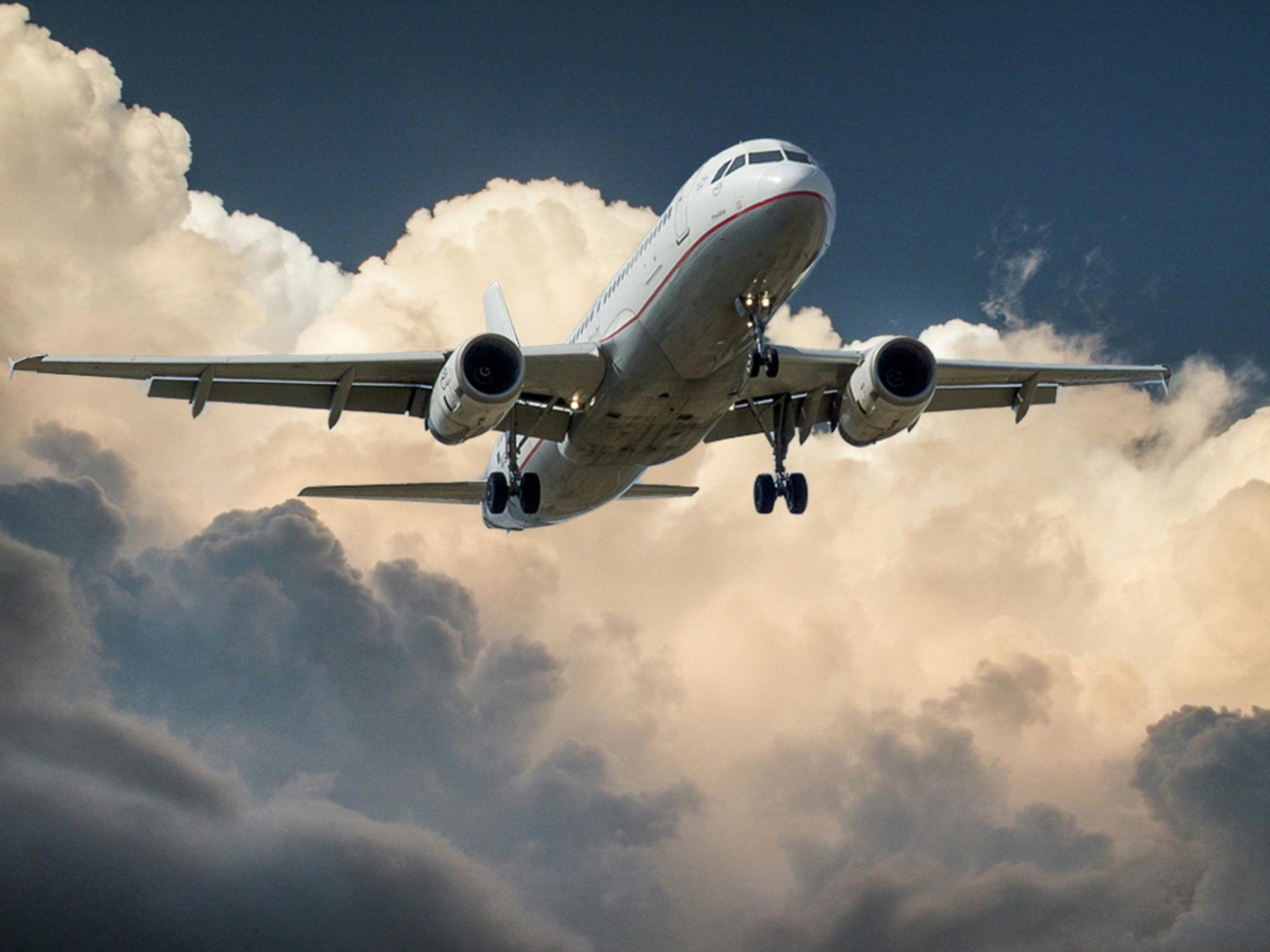 Thai Airways Joins Forces with WebCargo by Freightos for Digital Cargo Bookings