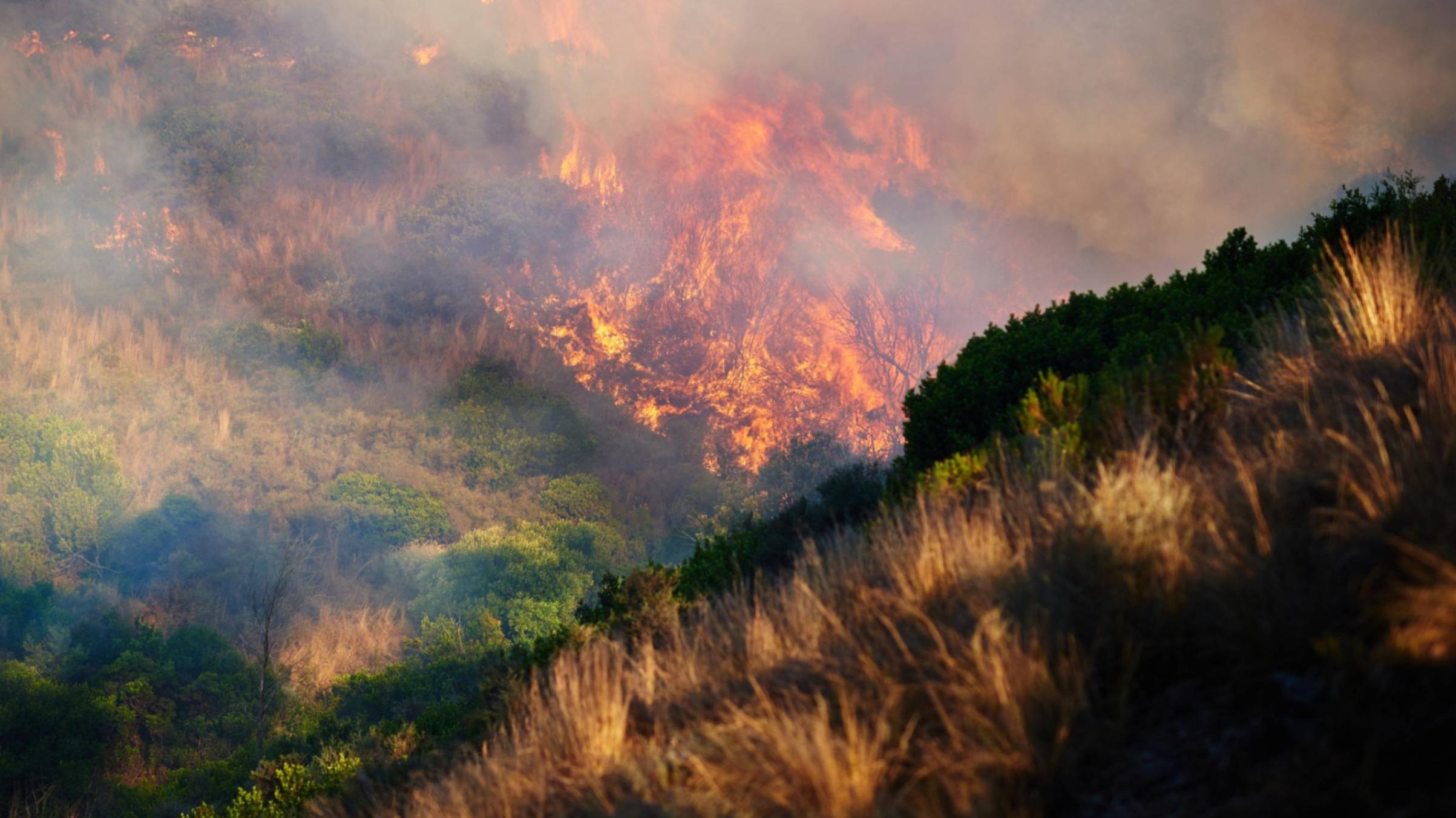 Burning Supply Chains: How California Wildfires Are Disrupting Logistics